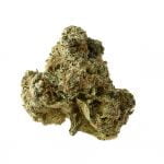 wholesale Amsterdam Genetics - AK OG Kush