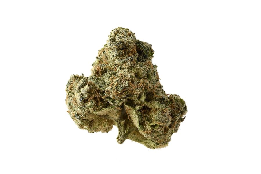 wholesale Amsterdam Genetics - AK OG Kush