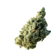 wholesale Amsterdam Genetics - Lemon Ice