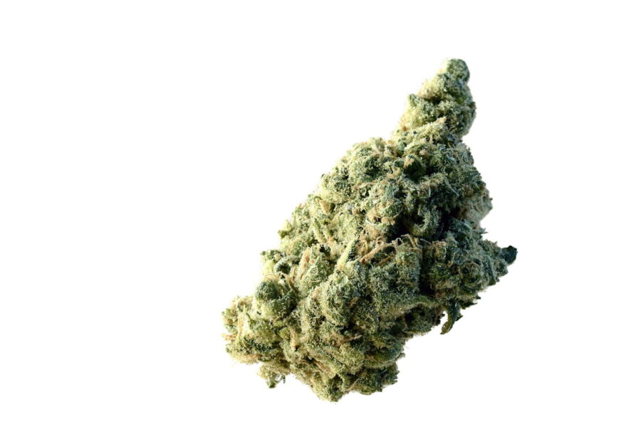 wholesale Amsterdam Genetics - Lemon Ice