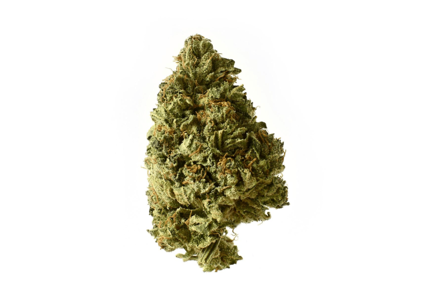wholesale Amsterdam Genetics - White Choco Autoflower