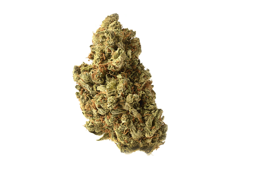 wholesale Amsterdam Genetics - Amazing Haze