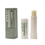 wholesale Enecta 50mg CBD Lipbalm