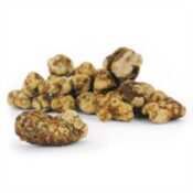 psilocybe mokum 1