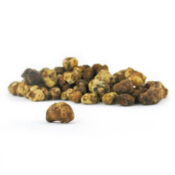 psilocybe pajaritos 1