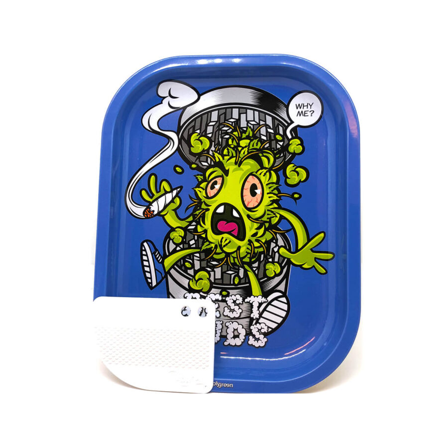 wholesale blue best buds small tray