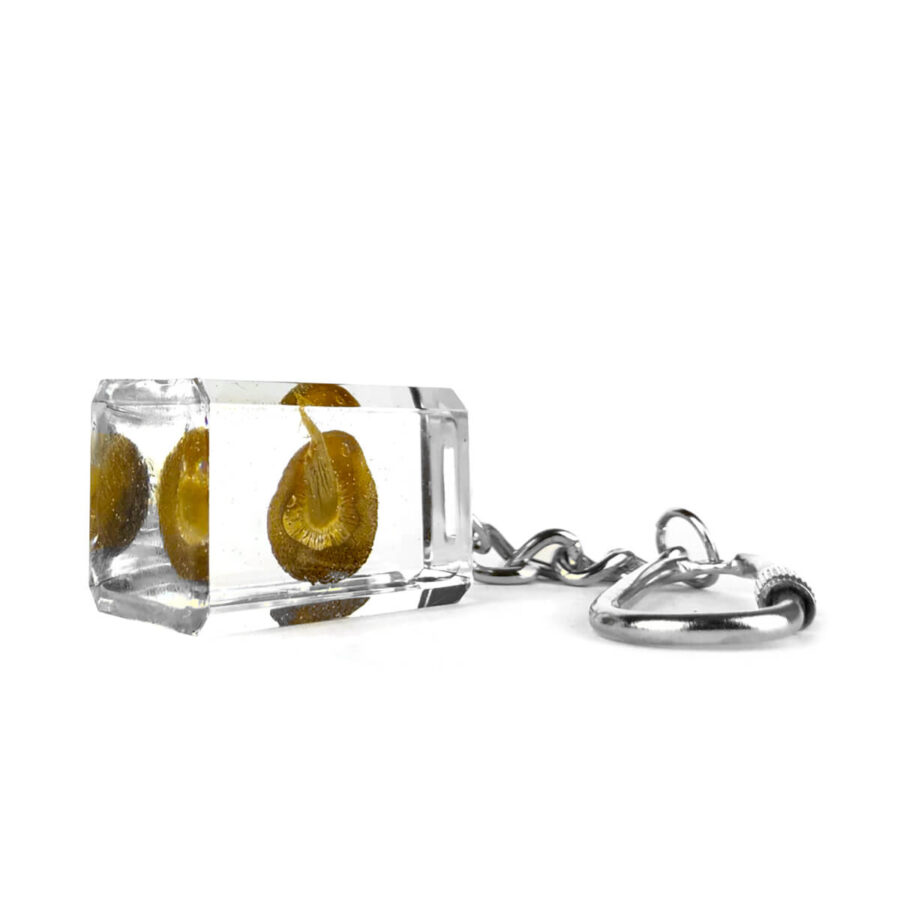 wholesale mushroom keychain 3