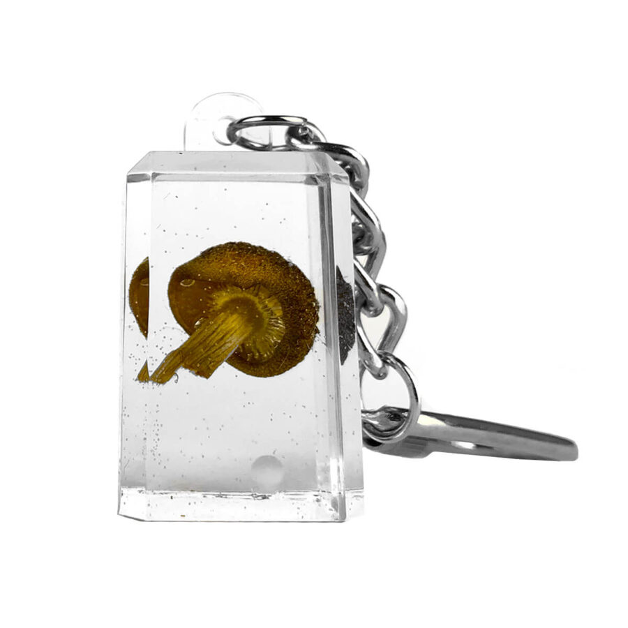 wholesale Mushroom Acrylic Transparent Keychain Cube