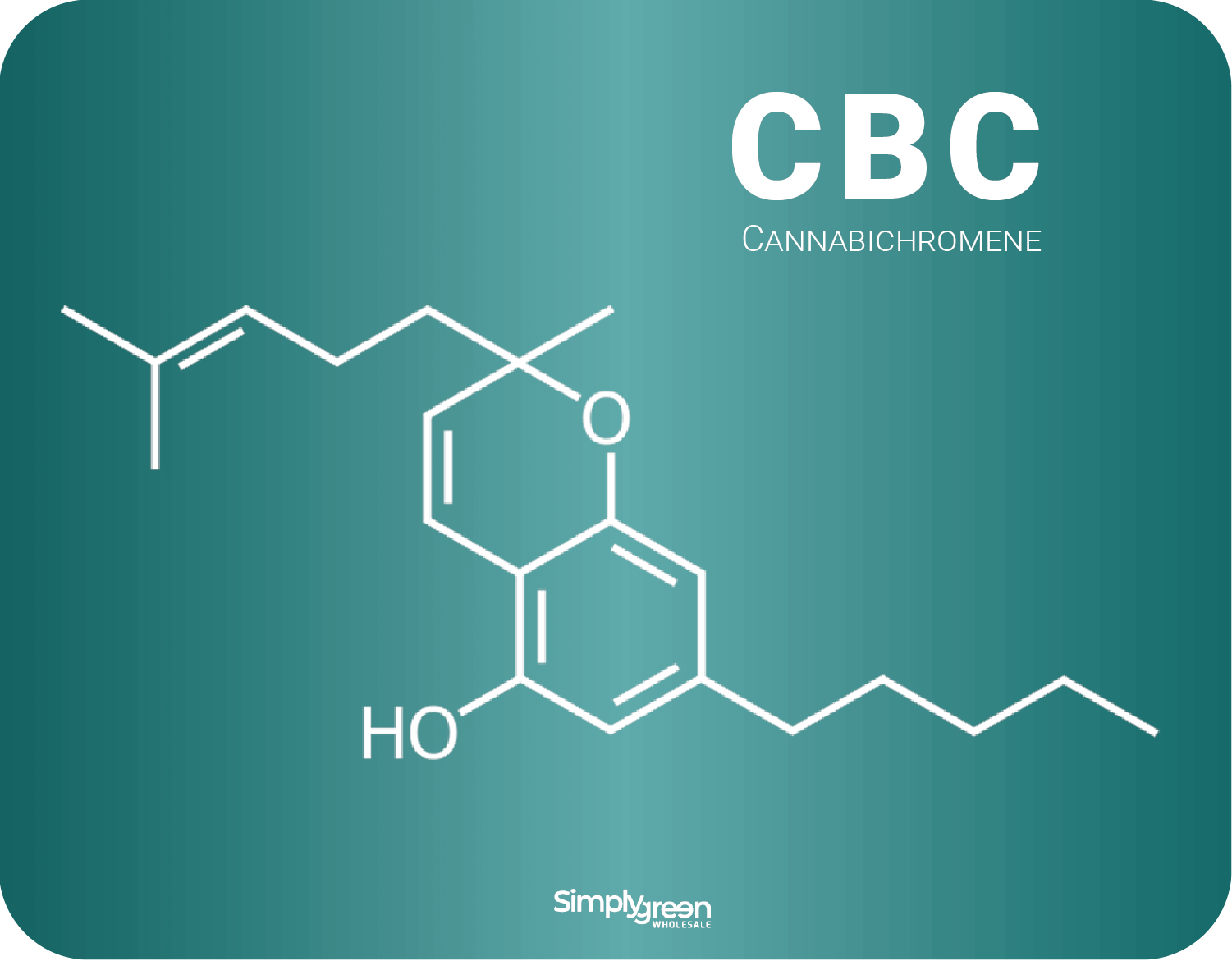 What Are The Different Types Of Cannabinoids? 6 Cannabinoids You Should ...