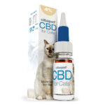 Wholesale Cibdol CBD Oil for Cats 4%