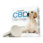 wholesale Cibdol CBD Pastilles for Dogs