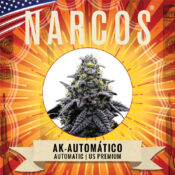 Wholesale Narcos Ak Automatico Automatic