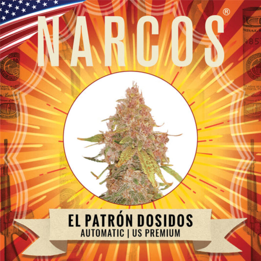 Wholesale Narcos El Patron Dosidos Automatic 5 seeds pack 1