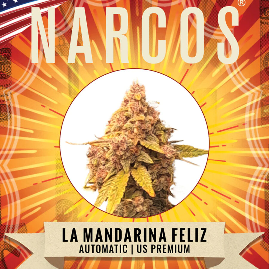 Wholesale Narcos La Mandarina Feliz Automatic 5 seeds pack 1