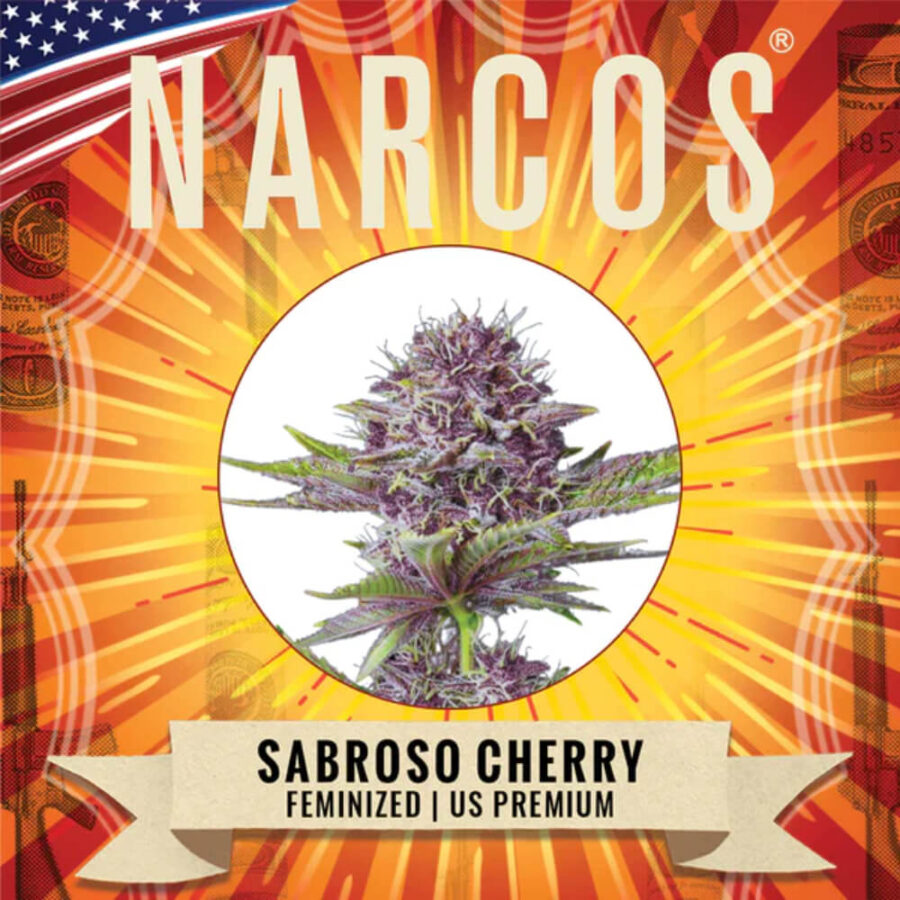 Wholesale Narcos Sabroso Cherry Feminized (3 seeds pack)