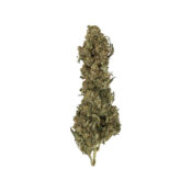 wholesale royal queen seeds royal medic cbd cannabis seeds pack