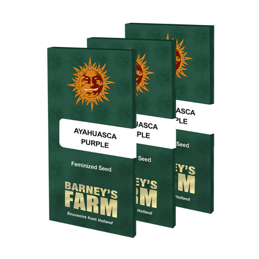wholesale-barneys-farm-ayahuasca-purple-cannabis-seeds-pack