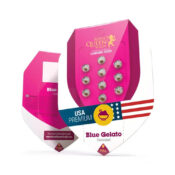 wholesale-royal-queen-seeds-blue-gelato-feminized-cannabis-seeds-3-seeds-pack-1