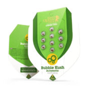 wholesale royal queen seeds bubble kush autoflowering cannabis seeds 5 seeds pack 1