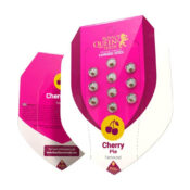 all'ingrosso-royal-queen-seeds-cherry-pie-femminized-cannabis-seeds-3-seeds-pack-1