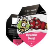 wholesale-royal-queen-seeds-dynamite-diesel-autoflowering-cannabis-seeds-5-seeds-pack-1