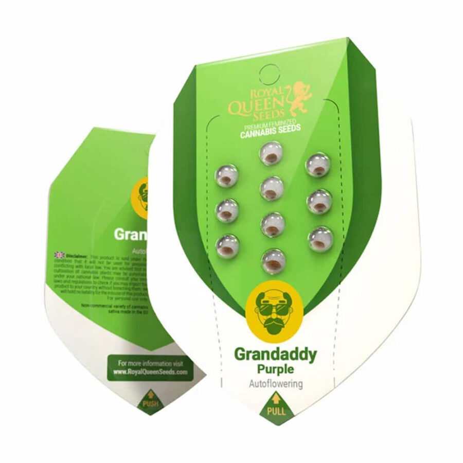 wholesale-royal-queen-seeds-granddaddy-purple-auto-autoflowering-cannabis-seeds-3-seeds-pack-1