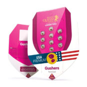 wholesale-royal-queen-seeds-gushers-feminized-cannabis-seeds-3-seeds-pack-1