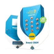 wholesale royal queen seeds royal cbdv autoflowering cannabis seeds 3 seeds pack 1