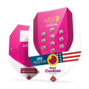 wholesale-royal-queen-seeds-royal-cookies-feminized-cannabis-seeds-5-seeds-pack-1