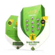 all'ingrosso-royal-queen-seeds-royal-haze-autofiorenti-semi di cannabis-5-semi-pack-1