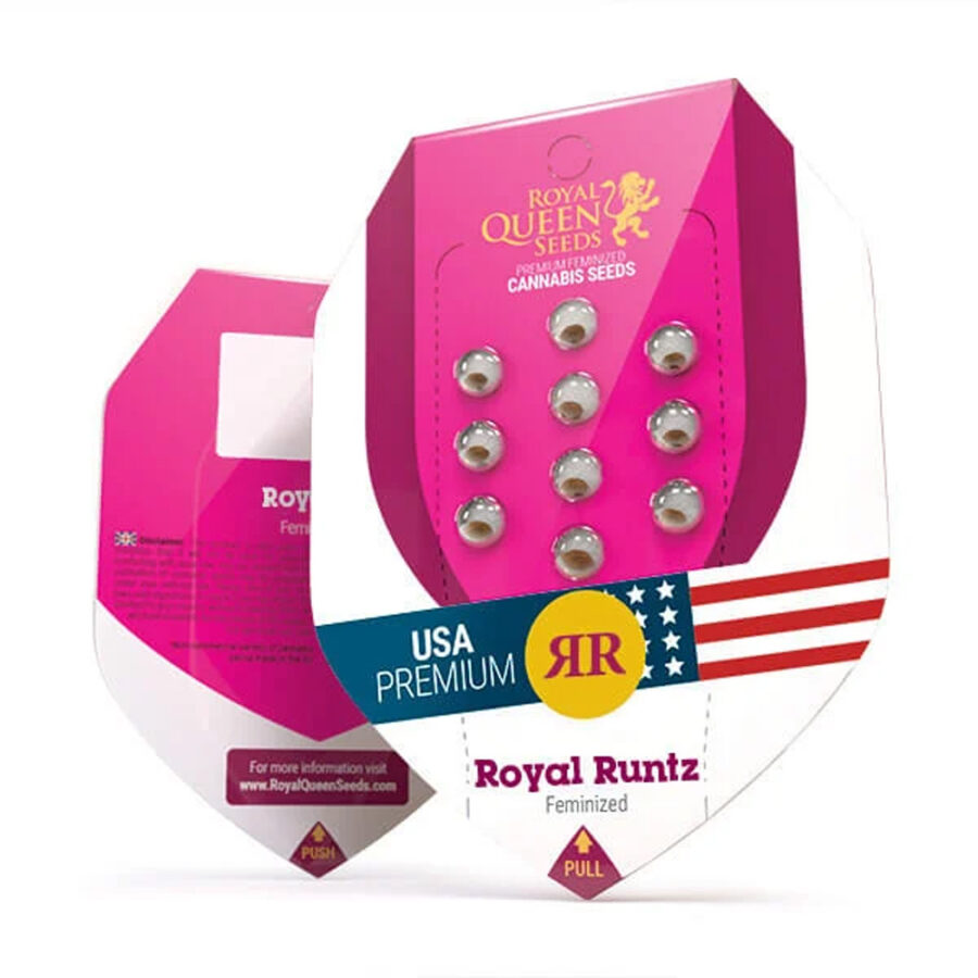 wholesale royal queen seeds royal runtz feminized cannabis seeds 5 seeds pack 1