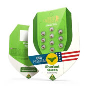 wholesale-royal-queen-seeds-sherbet-queen-auto-autoflowering-cannabis-seeds-5-seeds-pack-1