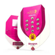 wholesale royal queen seeds shogun feminized cannabis seeds 5 seeds pack 1