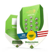 wholesale-royal-queen-seeds-watermelon-auto-autoflowering-cannabis-seeds-5-seeds-pack-1