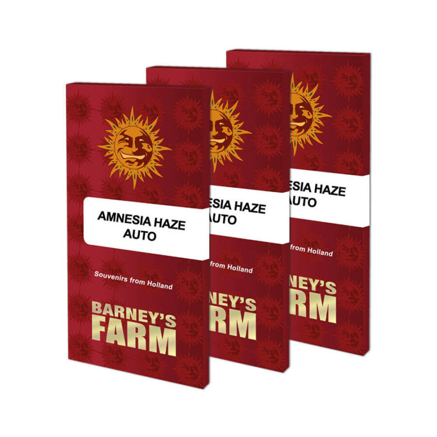 wholesale-barneys-farm-amnesia-haze-auto-5-seeds-pack-1