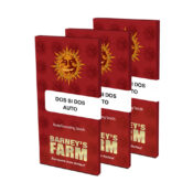 wholesale-barneys-farm-dos-si-dos-auto-autoflowering-cannabis-seeds-3-seeds-pack-1