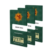 wholesale-barneys-farm-moby-dick-feminized-cannabis-seeds-3-seeds-pack-1