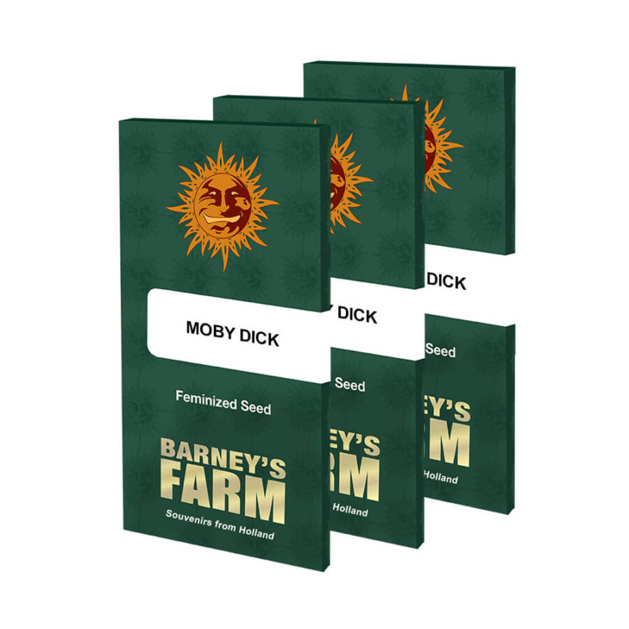 wholesale-barneys-farm-moby-dick-feminized-cannabis-seeds-3-seeds-pack-1