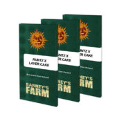 wholesale-barneys-farm-runtz-x-layer-cake-feminized-cannabis-seeds-3-seeds-pack-1