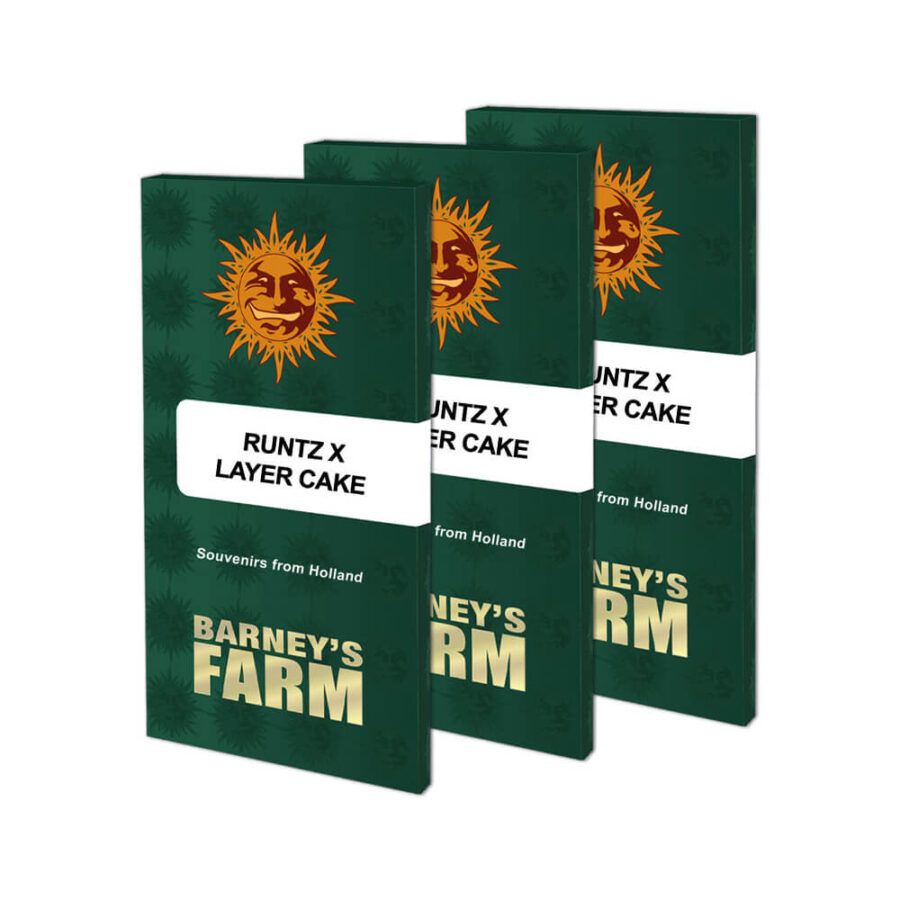wholesale-barneys-farm-runtz-x-layer-cake-feminized-cannabis-seeds-3-seeds-pack-1