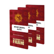 gros-barneys-farm-sour-diesel-auto-auto-seeds-cannabis-3-seeds-pack-1