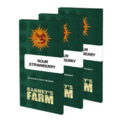 wholesale barneys farm sour strawberry feminized cannabis seeds 5 seeds pack 1