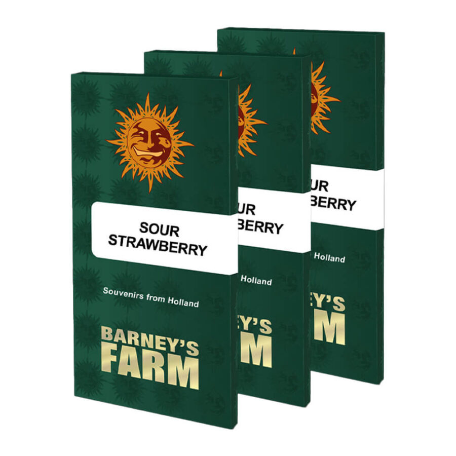 wholesale barneys farm sour strawberry feminized cannabis seeds 5 seeds pack 1